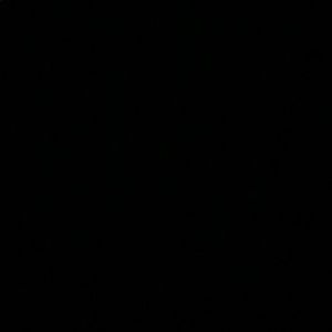 Meet your Posher, Pearl